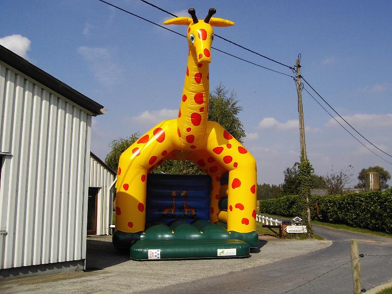 12. Giraf